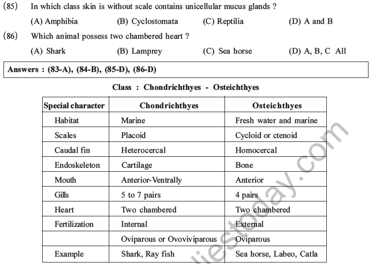 NEET Biology Classification Of Animal Kingdom MCQs Set A, Multiple ...